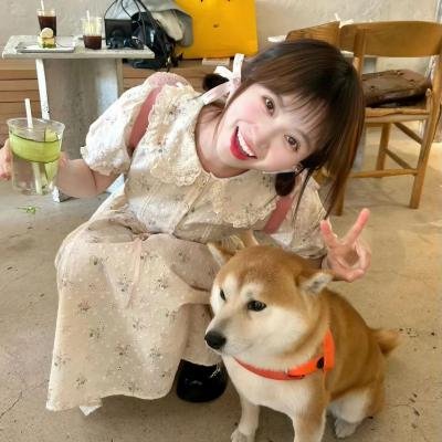 卧底伴娘
